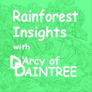 Rainforest Insights with DArcy of Daintree