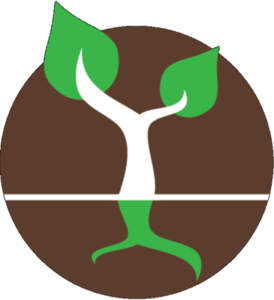 TFT Message on Demand