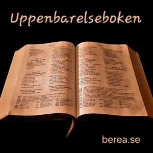 Uppenbarelseboken