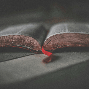 ESV Audio Bible with Joe Davis