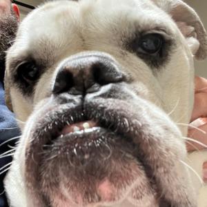 It’s Kind of a Funny Story - Demo