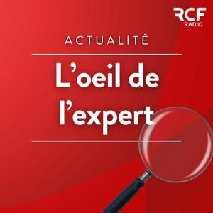 L'œil de l'expert