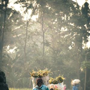 SUPPORT LOCAL FARMERS