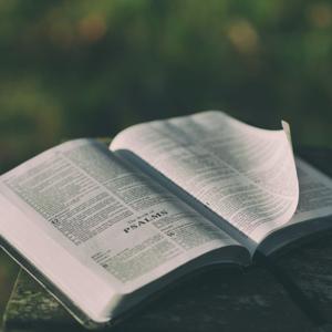 English Standard Read-Aloud