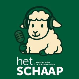 Het Schaap