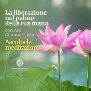 La liberazione nel palmo della tua mano