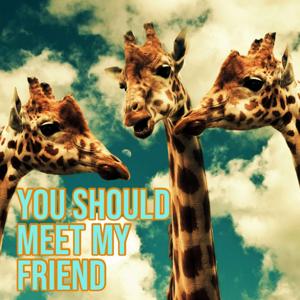 You Should Meet My Friend