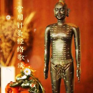 常用针灸经络歌诀