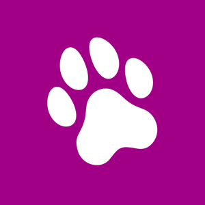 Fell und Führbügel by DBSV – Deutscher Blinden- und Sehbehindertenverband e.V.