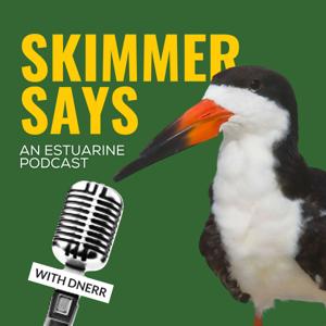 Skimmer Says