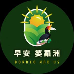 早安！婆羅洲