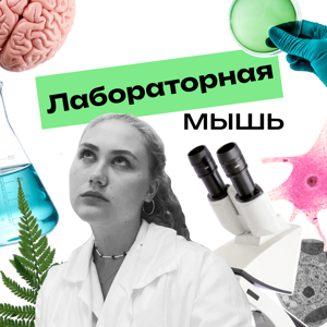 Лабораторная мышь
