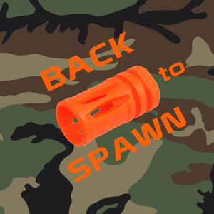 Back to Spawn
