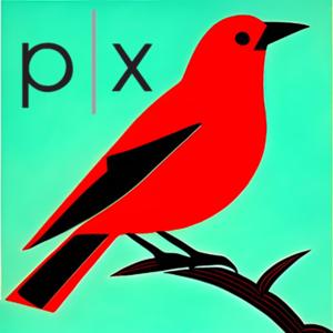 Parallax Poetry Salon