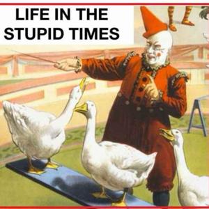 Life in the Stupid Times