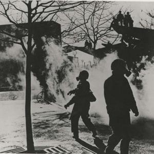 The Lower Frequencies