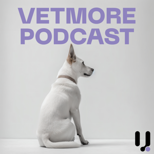 VetMore Podcast