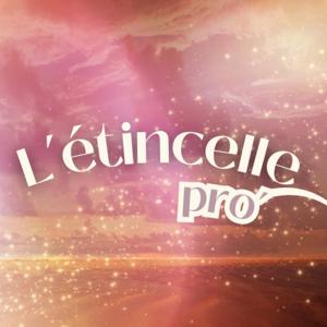 L'étincelle pro'