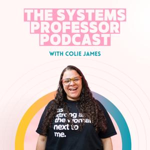 The Systems Professor