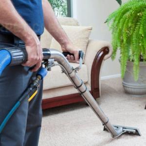Professional Carpet Cleaning