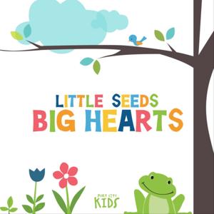 Little Seeds Big Hearts