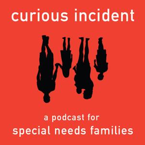 The Curious Incident Podcast