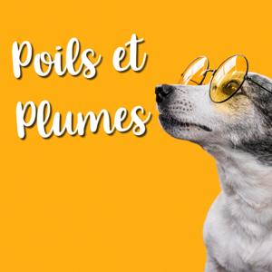 Poils et Plumes