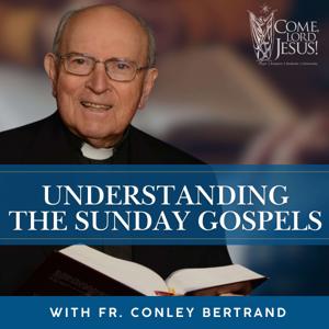 Understanding the Sunday Gospels by Come, Lord Jesus!