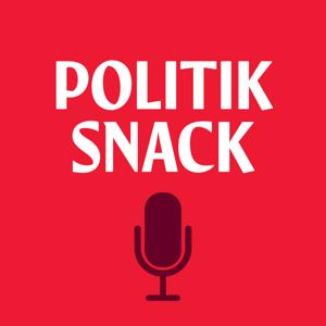Politiksnack