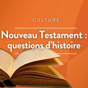Nouveau Testament : questions d'histoire