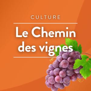 Le chemin des vignes
