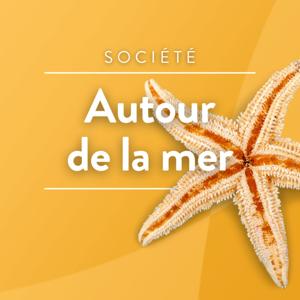 Autour de la mer