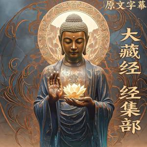 《大藏经》经集部 直译白话文 收录400余部佛经