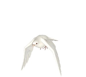 I Shot Pistols With God