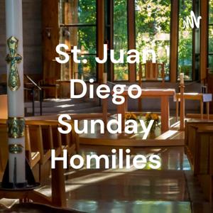 St. Juan Diego Sunday Homilies
