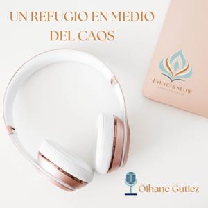 " Un refugio en medio del caos"