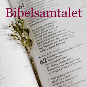 Bibelsamtalet