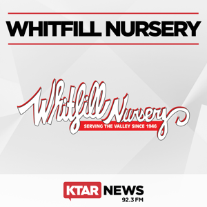Whitfill Nursery