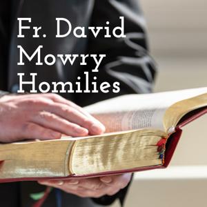 Fr. David Mowry Homilies