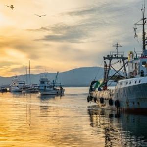 Marineros SAS