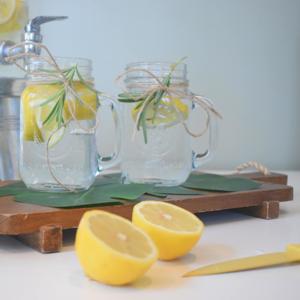 レモンのいれもん