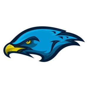 Franklin Falcons Podcast