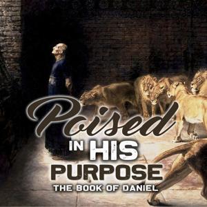 Poised In His Purpose Chosen to Display Gods Excellence