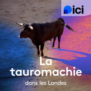 La Tauromachie dans les Landes by ici