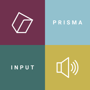 Prisma Inputs | Audio