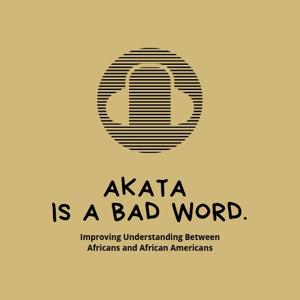 Akata is a bad word. Improving Understanding Between Africans and African Americans