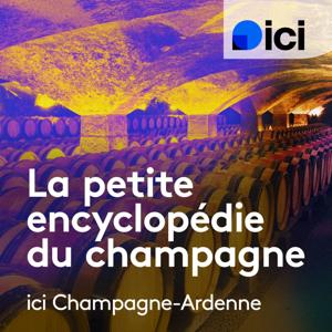 La petite encyclopédie du champagne, ici Champagne-Ardenne
