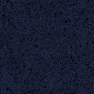 Murat Koç by Murat Koç