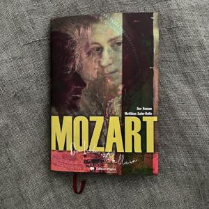 MOZART - Die Liebe ist´s allein