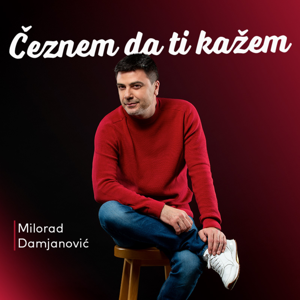 Čeznem da ti kažem - Milorad Damjanović